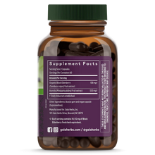 Load image into Gallery viewer, Black Elderberry